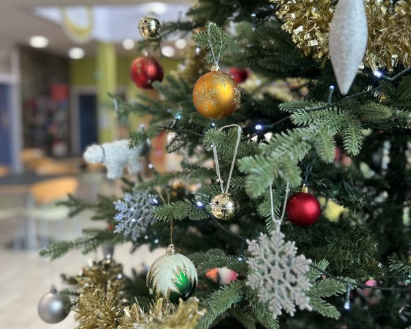 CHRISTMAS CRAFT MARKET 2025