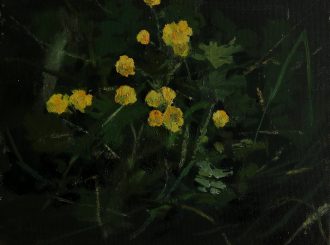 Creeping Buttercup Oil On Canvas Aidan Crotty